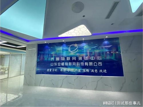 軟件測試工作流程與外包服務(wù)管理