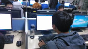 西安軟件服務(wù)外包學(xué)院培訓(xùn)心得體會——2010級信息管理與信息系統(tǒng)專業(yè)學(xué)生實踐感悟