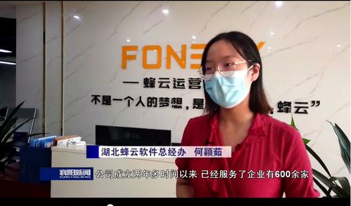 湖北蜂云軟件 壯大軟件開發市場主體，促進服務外包量增質升